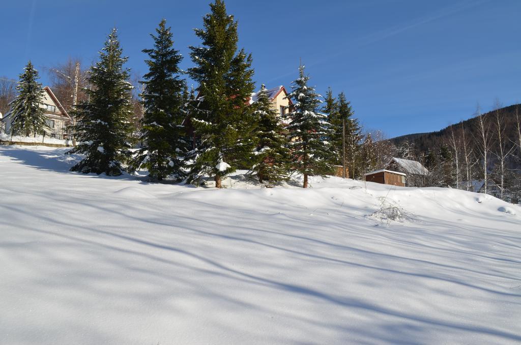 Dom Na Mosornym Groniu Villa Zawoja Bagian luar foto