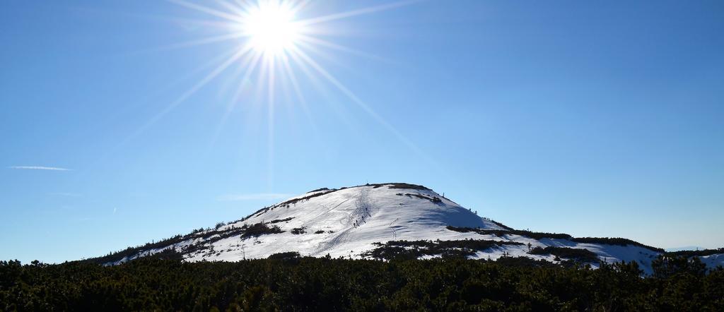 Dom Na Mosornym Groniu Villa Zawoja Bagian luar foto