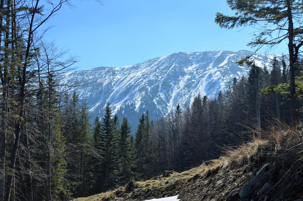 Dom Na Mosornym Groniu Villa Zawoja Bagian luar foto